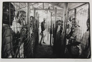 Image description is not available for 2008.002